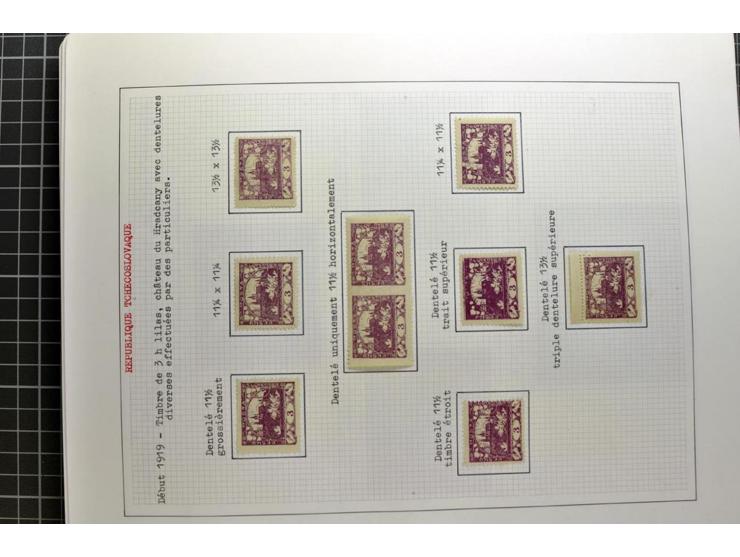  1918/86, ungebrauchte und gestempelte Sammlung mit lokalen Revolutionsausgaben, VZOREC auf Hradschin, Portoprovisiorien, Pro