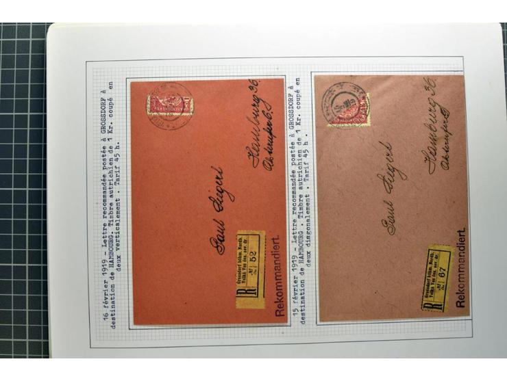 1918/86, ungebrauchte und gestempelte Sammlung mit lokalen Revolutionsausgaben, VZOREC auf Hradschin, Portoprovisiorien, Pro
