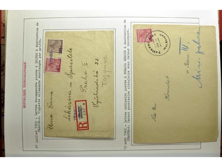  1918/86, ungebrauchte und gestempelte Sammlung mit lokalen Revolutionsausgaben, VZOREC auf Hradschin, Portoprovisiorien, Pro