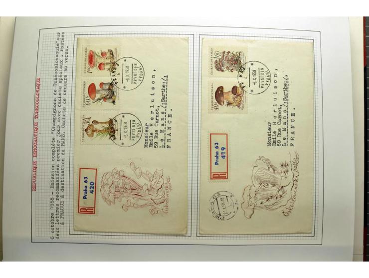  1918/86, ungebrauchte und gestempelte Sammlung mit lokalen Revolutionsausgaben, VZOREC auf Hradschin, Portoprovisiorien, Pro