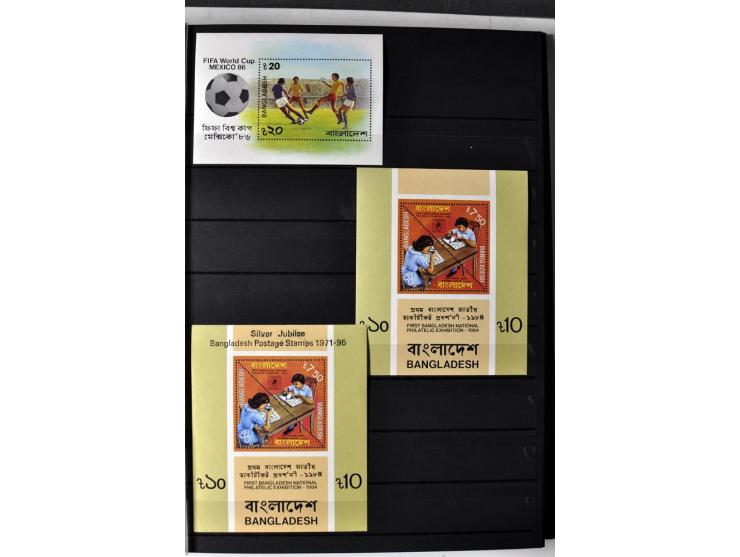  1971/2010, postfrische Sammlung mit Blocks und Kleinbogen