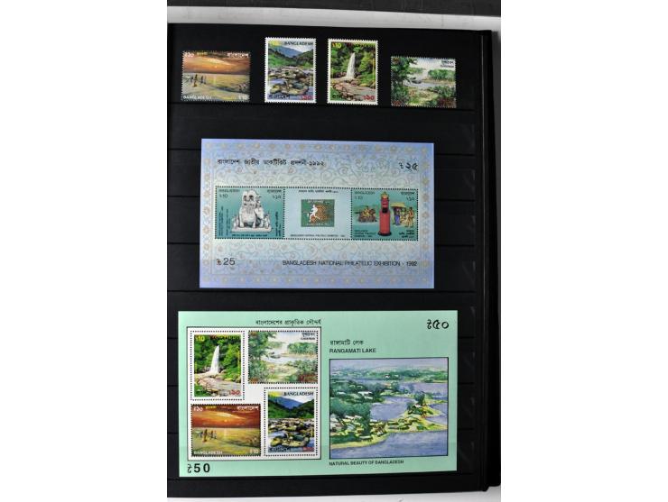  1971/2010, postfrische Sammlung mit Blocks und Kleinbogen