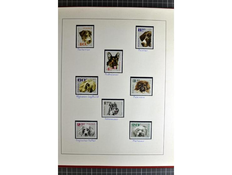 TIERE: 1920/94, postfrische, ungebrauchte und gestempelte sehr umfangreiche Sammlung mit vielen guten Ausgaben auf selbstgest