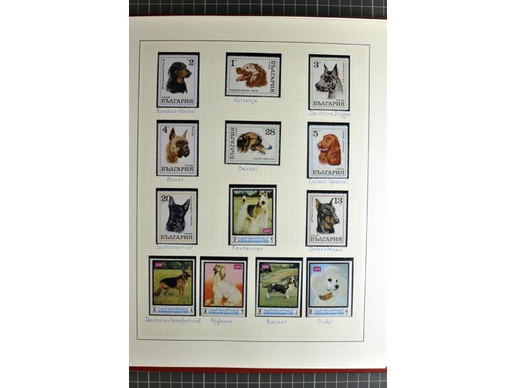 TIERE: 1920/94, postfrische, ungebrauchte und gestempelte sehr umfangreiche Sammlung mit vielen guten Ausgaben auf selbstgest