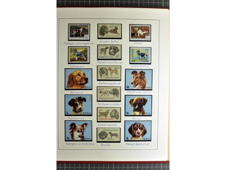 TIERE: 1920/94, postfrische, ungebrauchte und gestempelte sehr umfangreiche Sammlung mit vielen guten Ausgaben auf selbstgest