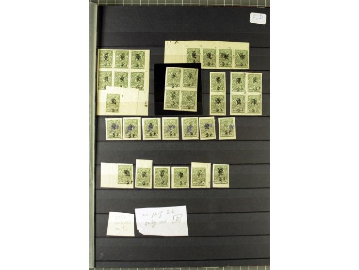 1920/21, Kombinationsaufdruck, Rbl.-Aufdruck auf Z-Aufdrucken, 16seitiges Lagerbuch mit über 300 echten Werten, viel ex  Tchi