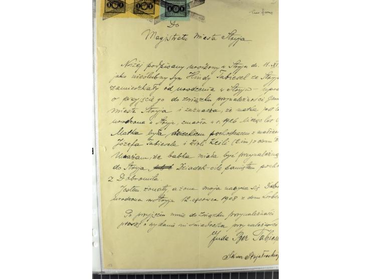FISKALMARKEN: 80 Albumblatter mit viele hundert Lokalmarken und Dokumente, meist aus 1918-45, dabei viel Material aus Lwow, S
