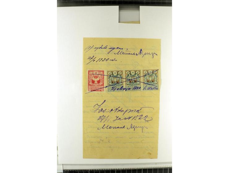 FISKALMARKEN: 80 Albumblatter mit viele hundert Lokalmarken und Dokumente, meist aus 1918-45, dabei viel Material aus Lwow, S