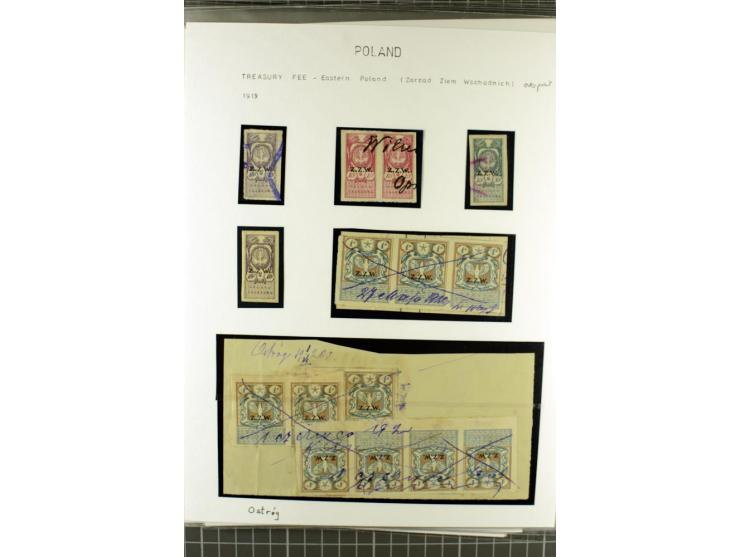 FISKALMARKEN: 80 Albumblatter mit viele hundert Lokalmarken und Dokumente, meist aus 1918-45, dabei viel Material aus Lwow, S