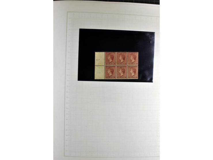 1851/1950 (ca.), ungebrauchte und gestempelte reichhaltige Sammlung, teils mehrfach gesammelt mit u.a. Britisch Guyana Mi.-Nr