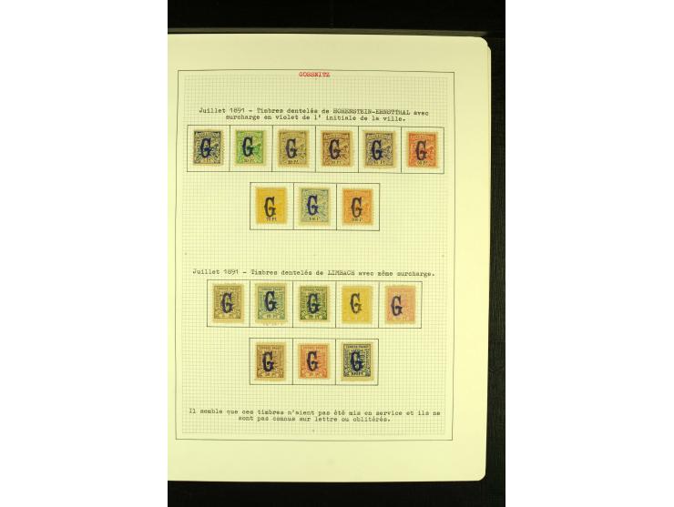 GÖSSNITZ 1891/93, ungebrauchte und gestempelte Sammlung mit einer Ganzsache und zwei Kleinbogen "Scherzmarken", gute Erhaltun