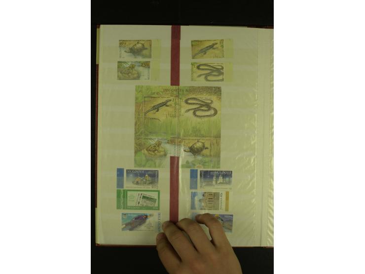 1993/2011, postfrische Sammlung mit Blocks und Kleinbogen