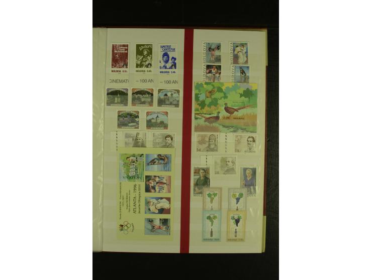 1993/2011, postfrische Sammlung mit Blocks und Kleinbogen