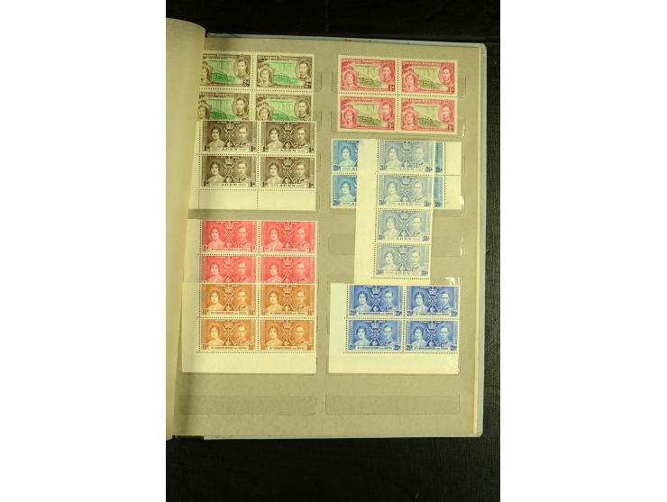 1937, Omnibus-Ausgabe, postfrische Partie im Album, fast ausschließlich in 4er-Blocks