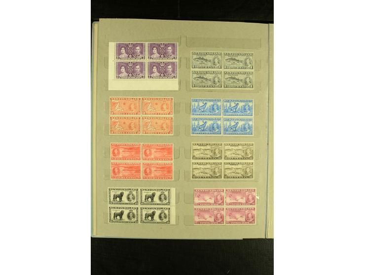 1937, Omnibus-Ausgabe, postfrische Partie im Album, fast ausschließlich in 4er-Blocks