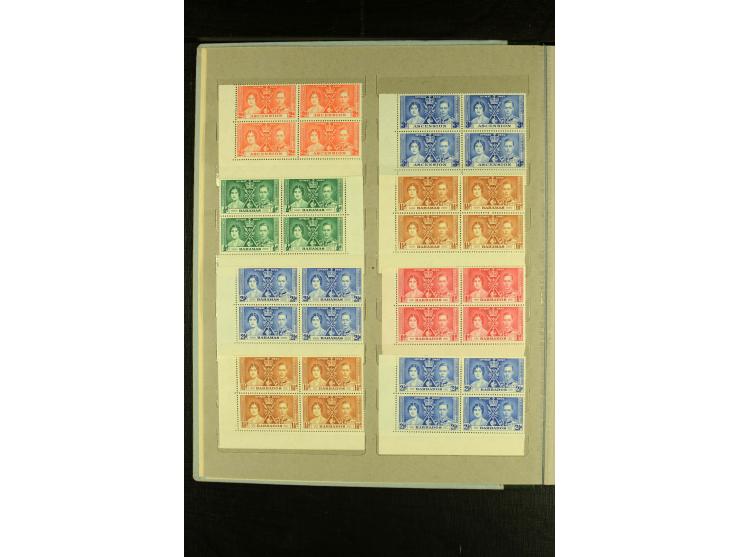 1937, Omnibus-Ausgabe, postfrische Partie im Album, fast ausschließlich in 4er-Blocks