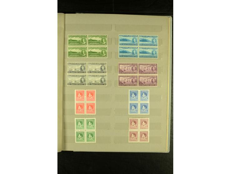 1937, Omnibus-Ausgabe, postfrische Partie im Album, fast ausschließlich in 4er-Blocks