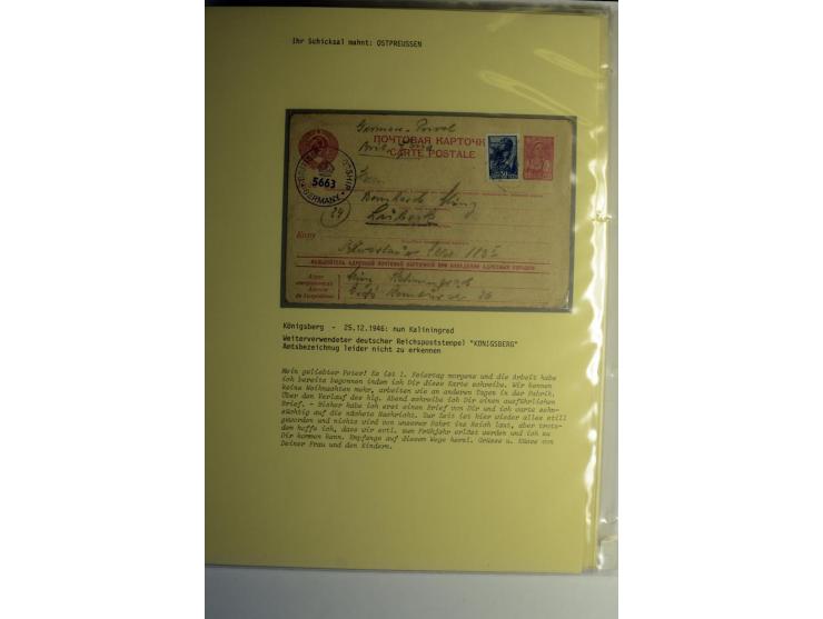 IHR SCHICKSAL MAHNT: Hochinteressante Sammlung von über 150 Briefen und Karten, dabei Belege aus der Bukowina, Polen, Galizie