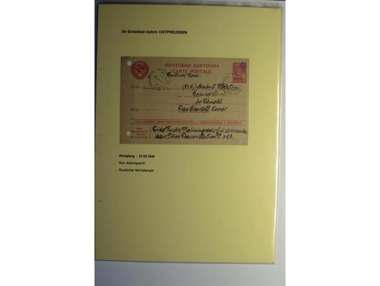 IHR SCHICKSAL MAHNT: Hochinteressante Sammlung von über 150 Briefen und Karten, dabei Belege aus der Bukowina, Polen, Galizie