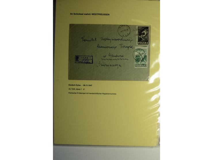 IHR SCHICKSAL MAHNT: Hochinteressante Sammlung von über 150 Briefen und Karten, dabei Belege aus der Bukowina, Polen, Galizie