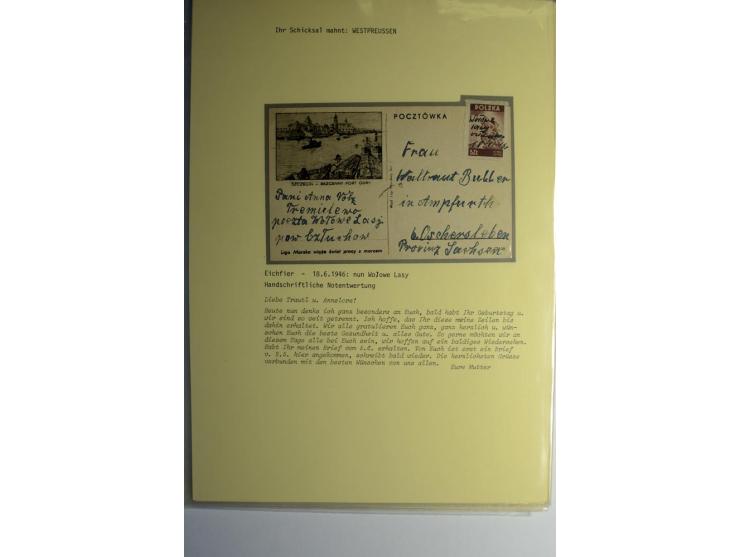IHR SCHICKSAL MAHNT: Hochinteressante Sammlung von über 150 Briefen und Karten, dabei Belege aus der Bukowina, Polen, Galizie