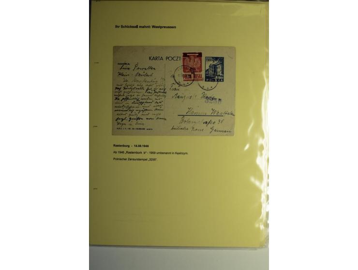 IHR SCHICKSAL MAHNT: Hochinteressante Sammlung von über 150 Briefen und Karten, dabei Belege aus der Bukowina, Polen, Galizie