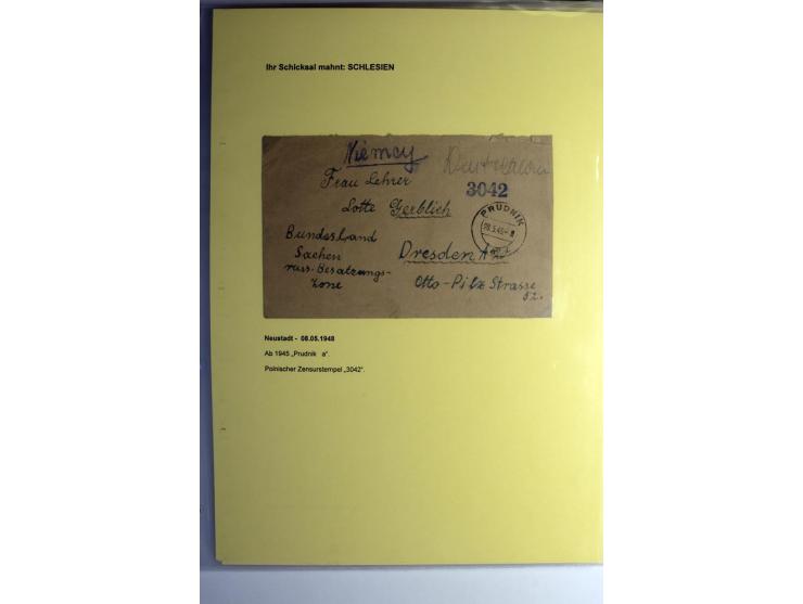 IHR SCHICKSAL MAHNT: Hochinteressante Sammlung von über 150 Briefen und Karten, dabei Belege aus der Bukowina, Polen, Galizie