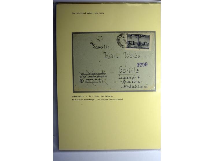 IHR SCHICKSAL MAHNT: Hochinteressante Sammlung von über 150 Briefen und Karten, dabei Belege aus der Bukowina, Polen, Galizie