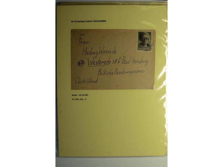 IHR SCHICKSAL MAHNT: Hochinteressante Sammlung von über 150 Briefen und Karten, dabei Belege aus der Bukowina, Polen, Galizie