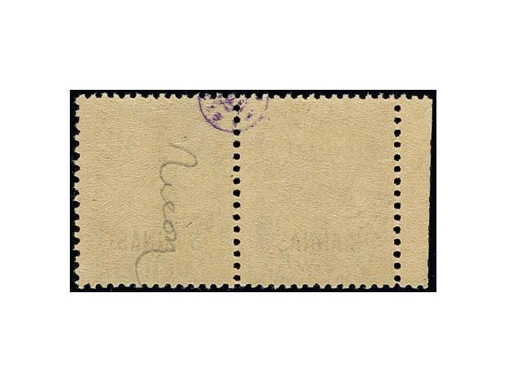 1902/03, Overprint error 5 ANNAS on 30 c. in horizontal pair with normal stamp, unused o.g., fine and scarce (Yvert 57A)