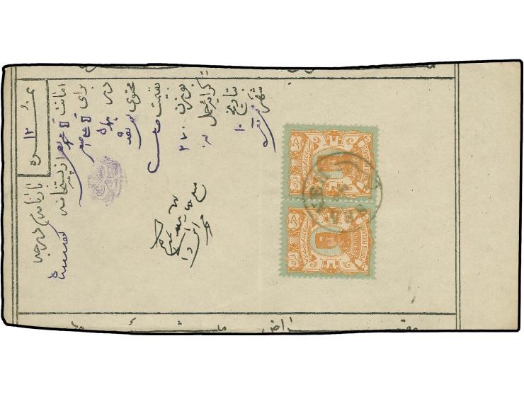 2 kr., horizontal pair with greenish-blue cds. "SENNEH 7/4" to Barnameh