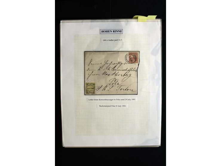 HOTEL POSTÂ 'HOHEÂ RINNE' : 1896/1924, Exhibition collection mounted on 38 pages (+ Intro pages) with many rarities of this a