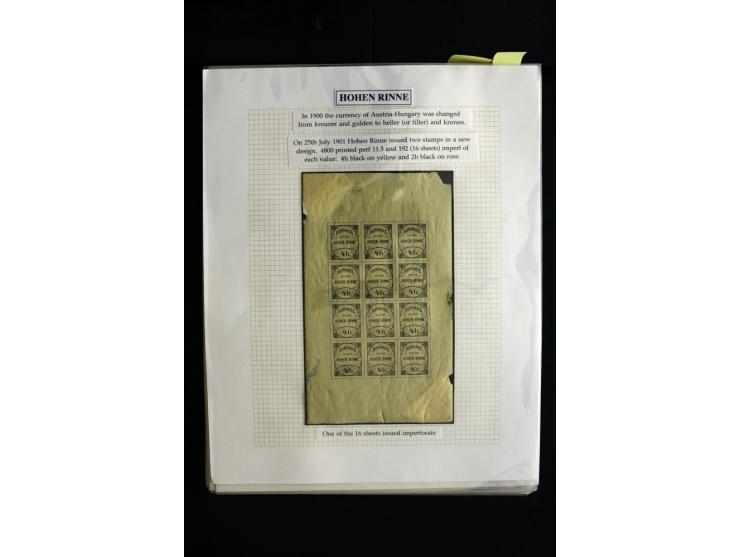 HOTEL POSTÂ 'HOHEÂ RINNE' : 1896/1924, Exhibition collection mounted on 38 pages (+ Intro pages) with many rarities of this a