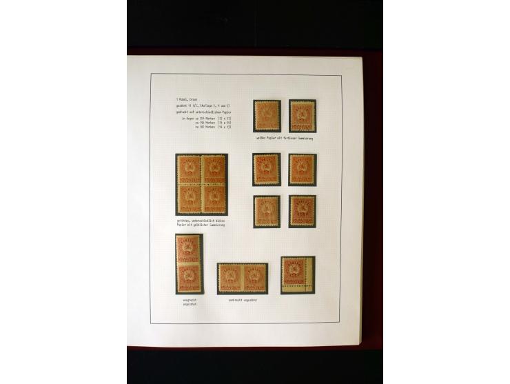 1919/23, 2bändige, ausstellungsmäßig aufgezogene Spezialsammlung, dabei die Markenausgaben sehr reichhaltig ungebraucht und g