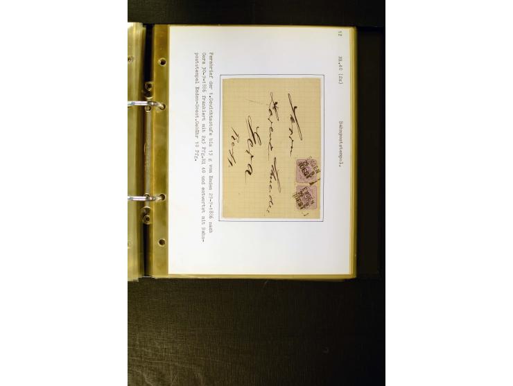 1880/1889, umfangreiche Spezialsammlung mit vielen Farben, Plattenfehlern, Zähnungs-Varianten, Zwischenstegpaaren, Einheiten,