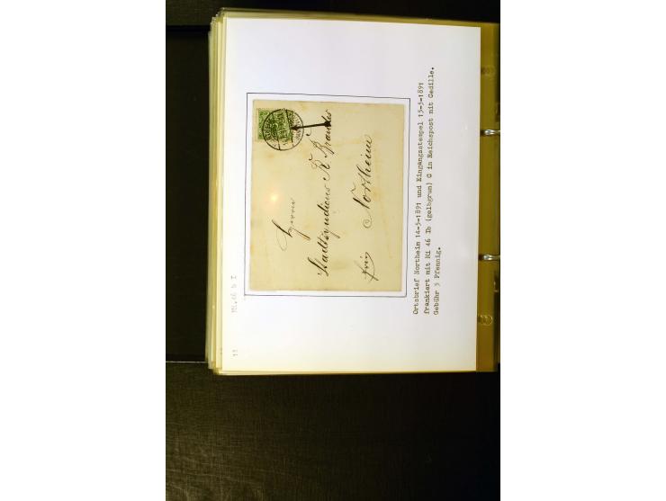 1890/1899, umfangreiche Spezialsammlung mit vielen Farben, Plattenfehlern, Zähnungs-Varianten, Zwischenstegpaaren, Einheiten,