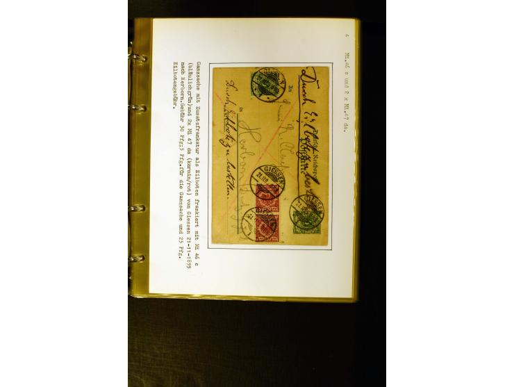 1890/1899, umfangreiche Spezialsammlung mit vielen Farben, Plattenfehlern, Zähnungs-Varianten, Zwischenstegpaaren, Einheiten,