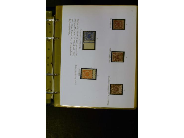 1890/1899, umfangreiche Spezialsammlung mit vielen Farben, Plattenfehlern, Zähnungs-Varianten, Zwischenstegpaaren, Einheiten,