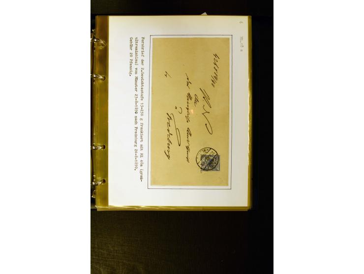 1890/1899, umfangreiche Spezialsammlung mit vielen Farben, Plattenfehlern, Zähnungs-Varianten, Zwischenstegpaaren, Einheiten,