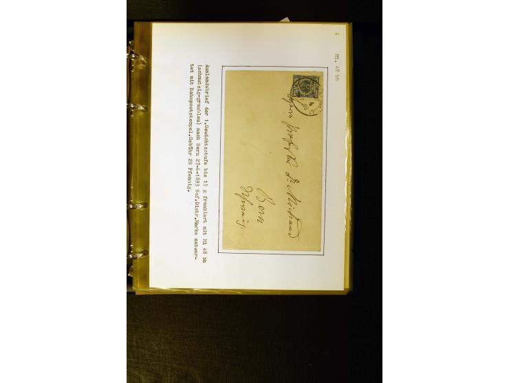1890/1899, umfangreiche Spezialsammlung mit vielen Farben, Plattenfehlern, Zähnungs-Varianten, Zwischenstegpaaren, Einheiten,