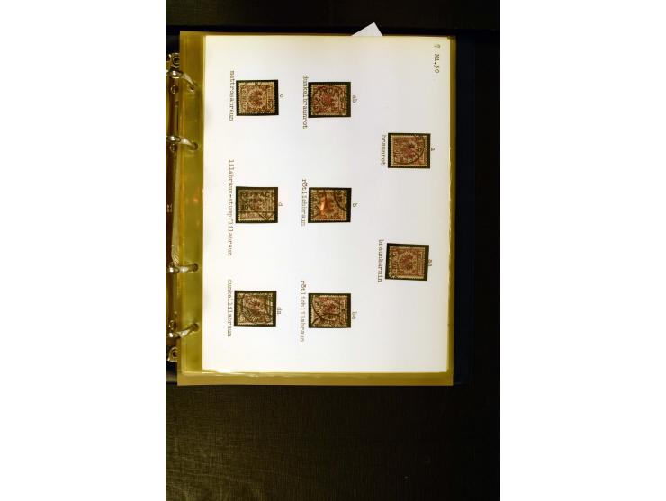 1890/1899, umfangreiche Spezialsammlung mit vielen Farben, Plattenfehlern, Zähnungs-Varianten, Zwischenstegpaaren, Einheiten,