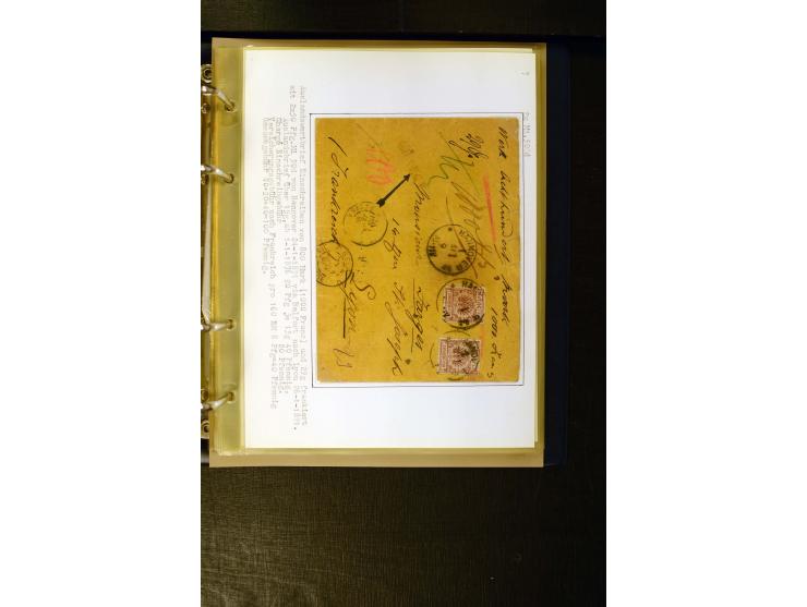 1890/1899, umfangreiche Spezialsammlung mit vielen Farben, Plattenfehlern, Zähnungs-Varianten, Zwischenstegpaaren, Einheiten,