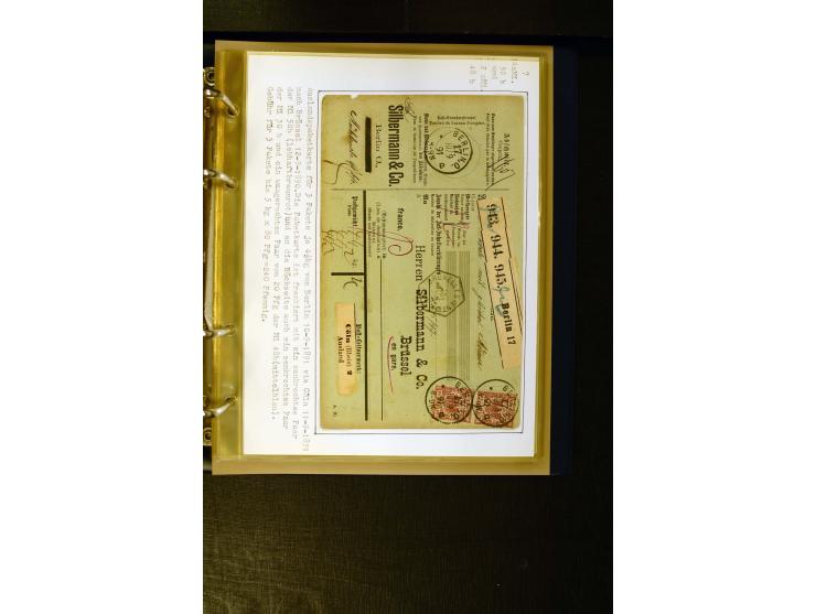 1890/1899, umfangreiche Spezialsammlung mit vielen Farben, Plattenfehlern, Zähnungs-Varianten, Zwischenstegpaaren, Einheiten,
