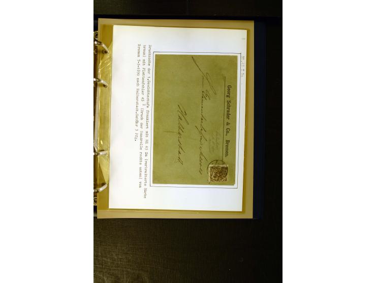 1890/1899, umfangreiche Spezialsammlung mit vielen Farben, Plattenfehlern, Zähnungs-Varianten, Zwischenstegpaaren, Einheiten,