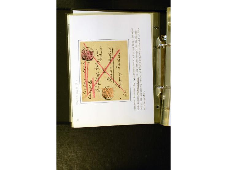 1890/1899, umfangreiche Spezialsammlung mit vielen Farben, Plattenfehlern, Zähnungs-Varianten, Zwischenstegpaaren, Einheiten,