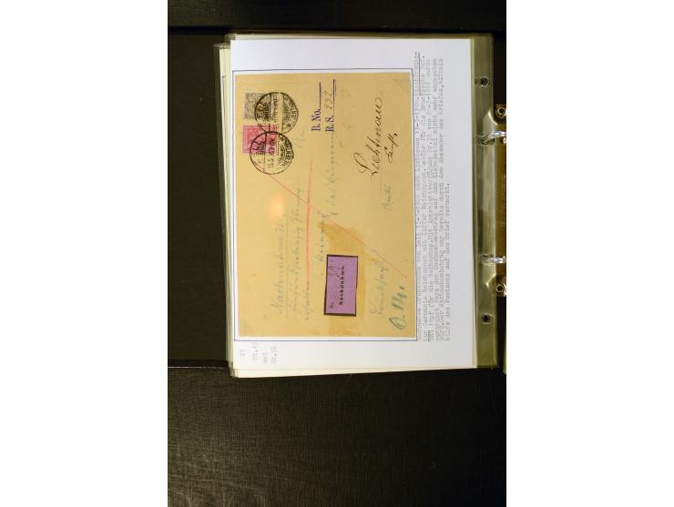 1890/1899, umfangreiche Spezialsammlung mit vielen Farben, Plattenfehlern, Zähnungs-Varianten, Zwischenstegpaaren, Einheiten,