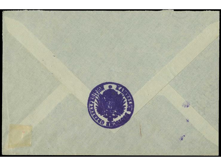 "KAISERLICH DEUTSCHE GRENZ-EXPEDITION", violetter Siegelstempel auf Brief frankiert mit 10 Pfg. mit violettem französischem "