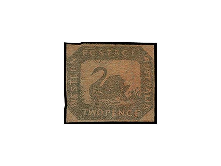 1857/59, Black swan 2 d. brown-black on red with clear to wide margins, small part of neighbour stamp at top, fresh colour, u