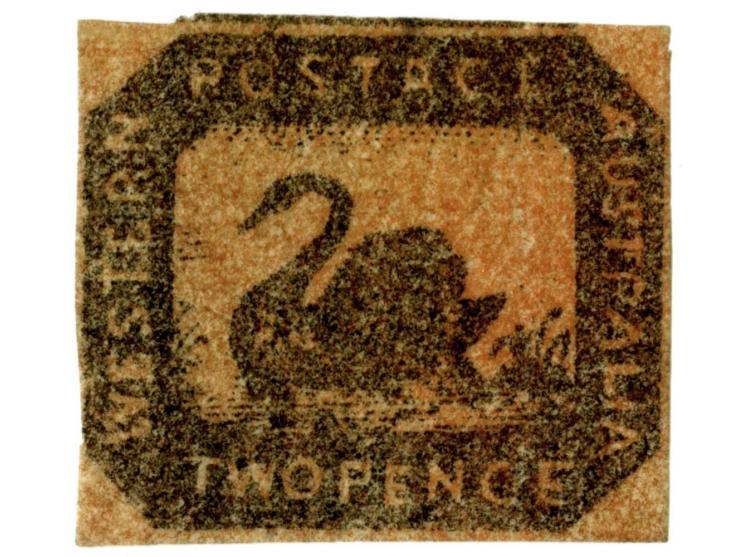 1857/59, Black swan 2 d. brown-black on red with clear to wide margins, small part of neighbour stamp at top, fresh colour, u