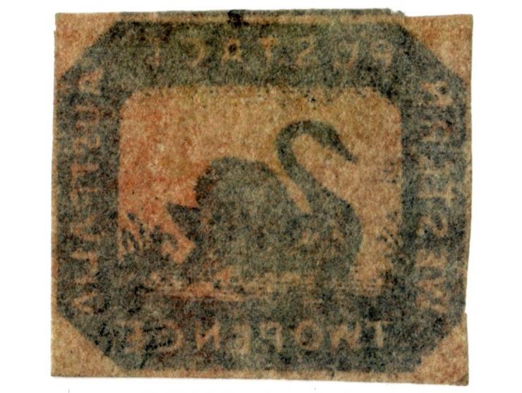 1857/59, Black swan 2 d. brown-black on red with clear to wide margins, small part of neighbour stamp at top, fresh colour, u